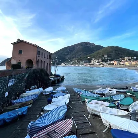 Sunshine - Gateway To Cinque Terre